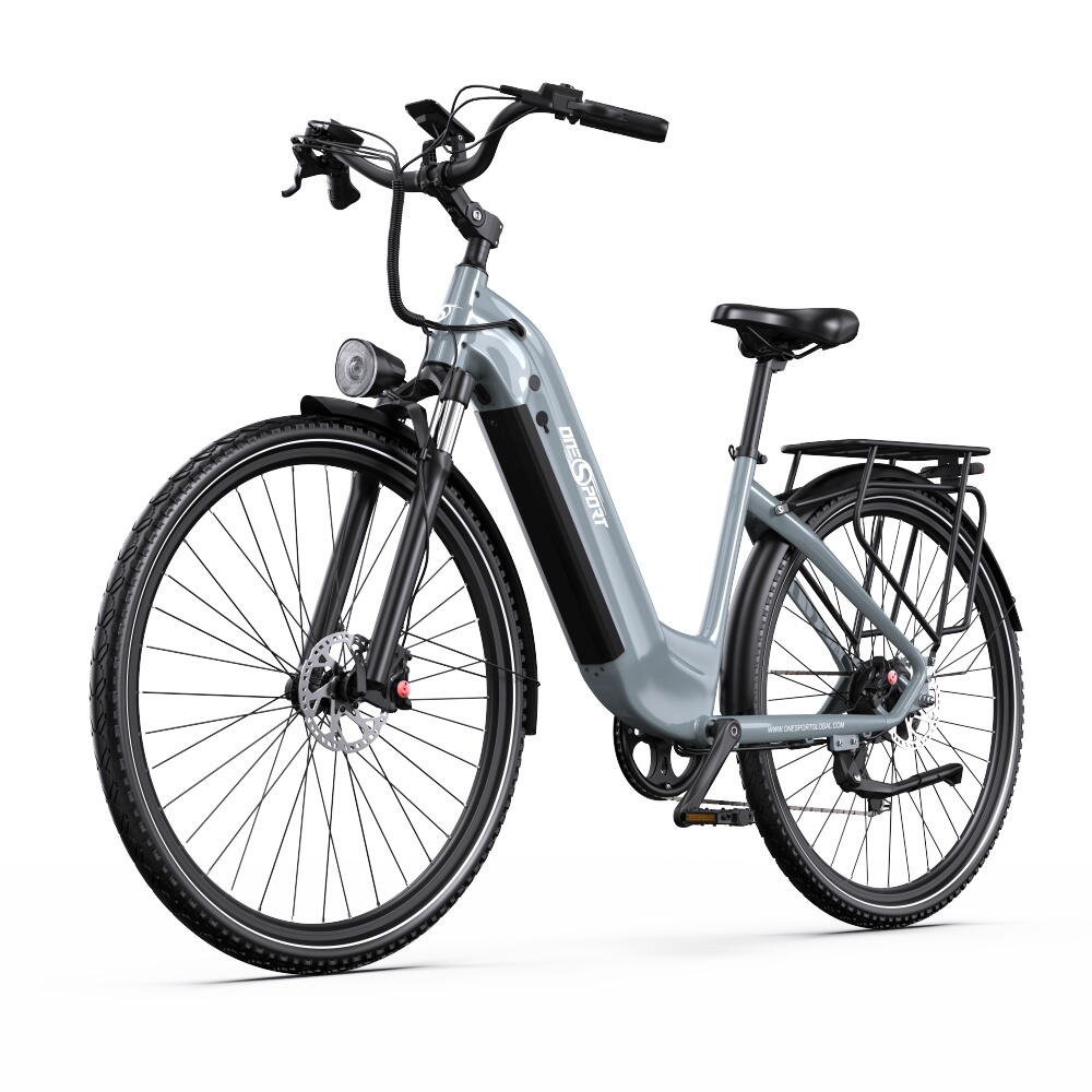 ONESPORT Elektrofahrrad für Erwachsene: Onesport OT05Pro 250 W 36 V 22,5 Ah Akku