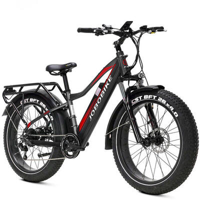 Bici elettrica per adulti JOBOBIKE Robin 26 pollici 250W 48V13AH