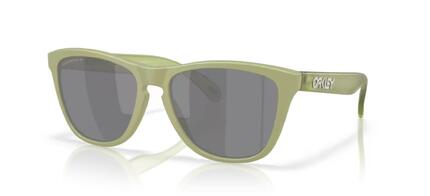 Lunettes de soleil Oakley Frogskins