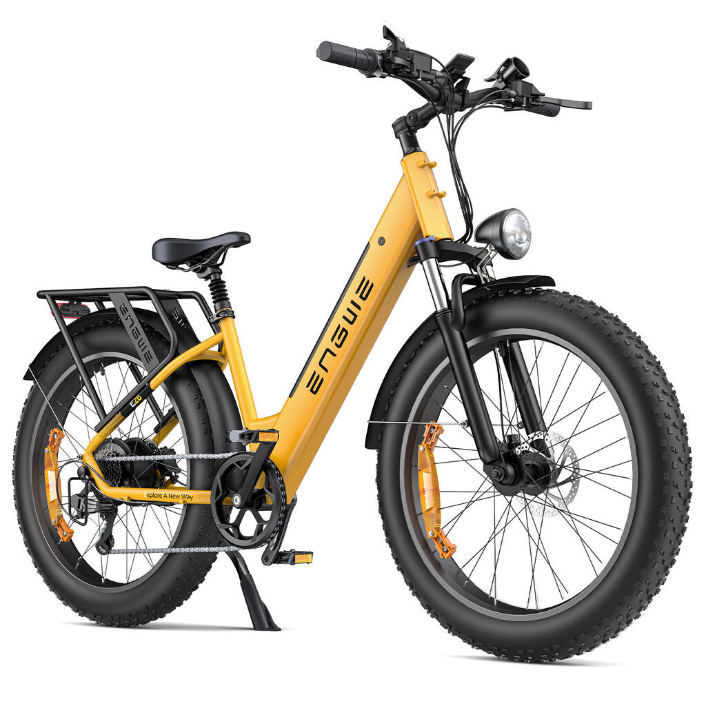 Electric Bike with SHIMANO 7 Gang, 48V 16Ah Battery, 150 km