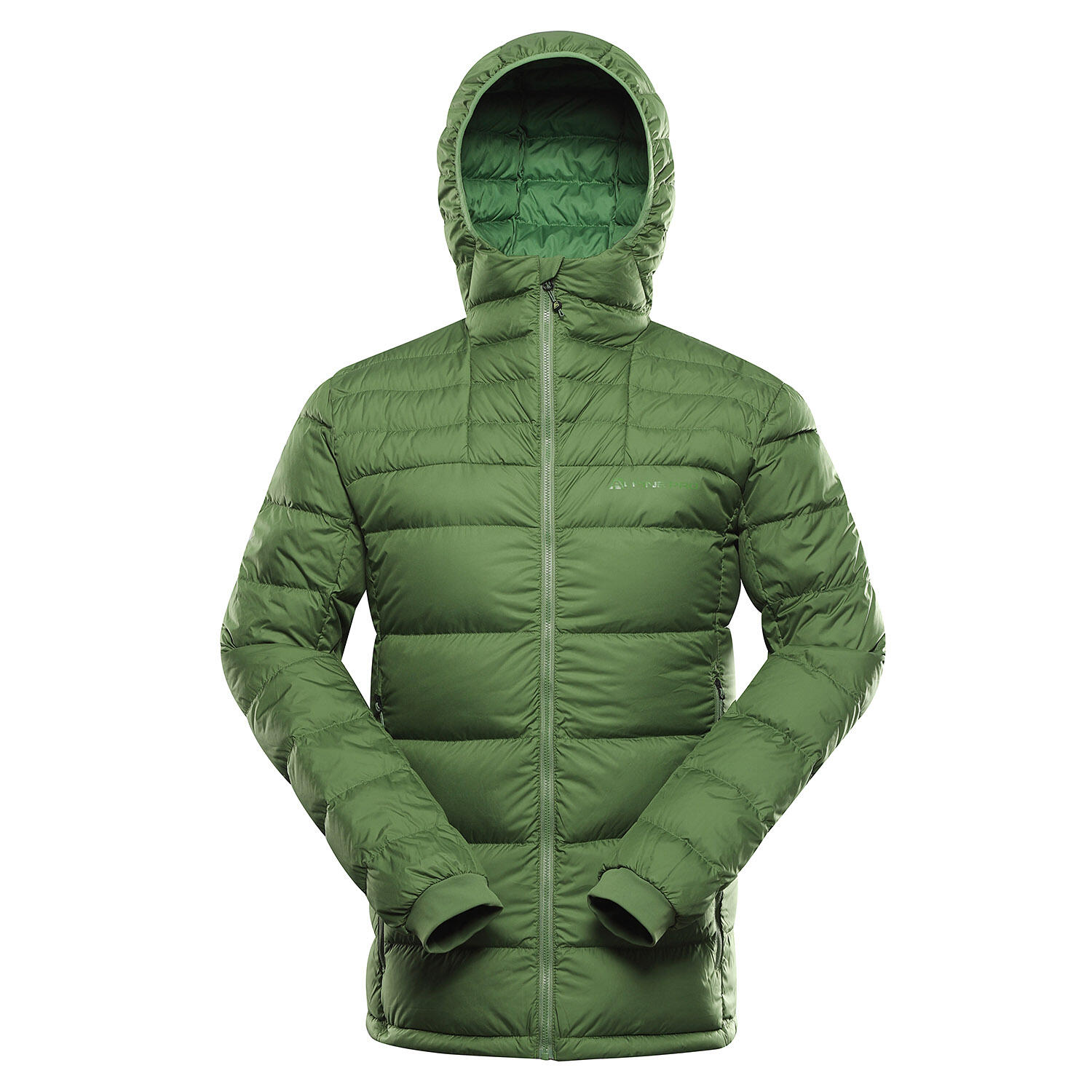 ALPINE PRO picture