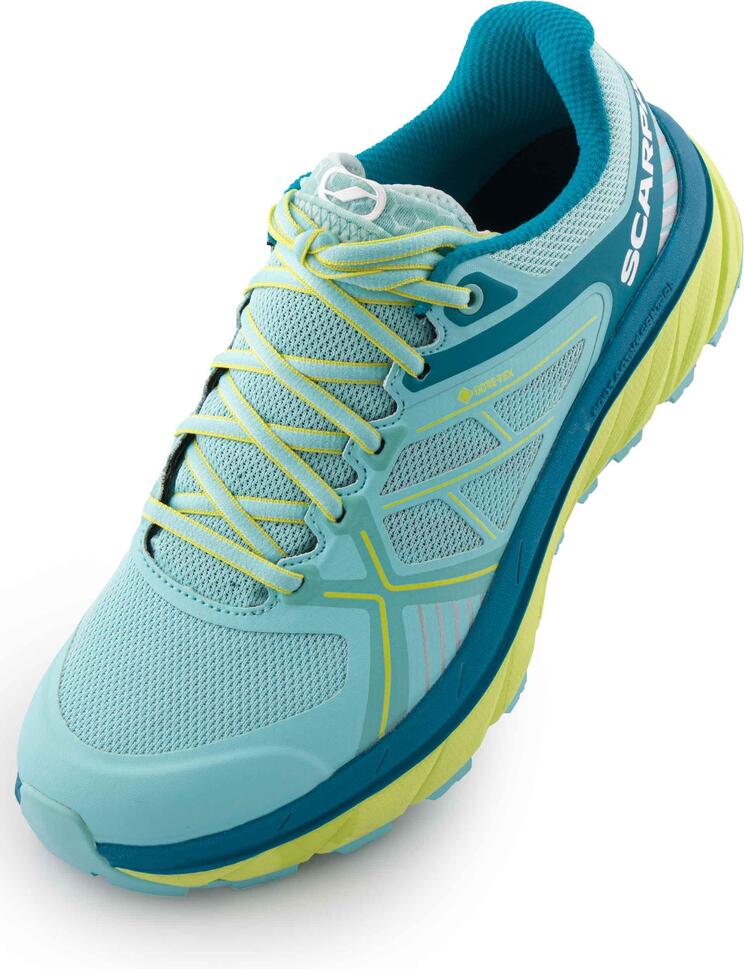 Damskie Buty do Biegania Scarpa WMS Spin Infinity GTX 38.5