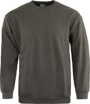 Felpa uomo Promodoro Hunting grigio scuro 4XL 100% cotone