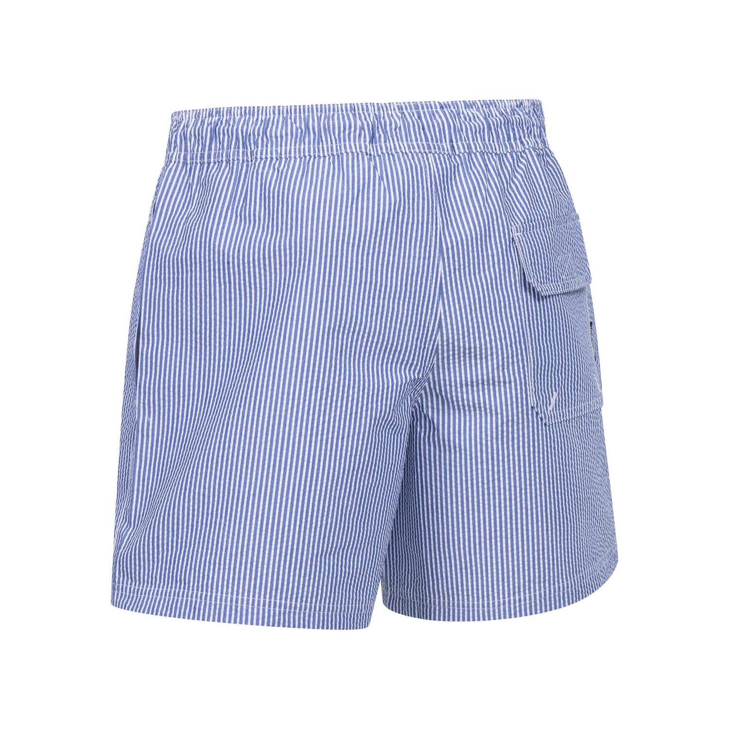 Mens Tonio Swim Shorts (Indigo Blue) 2/3