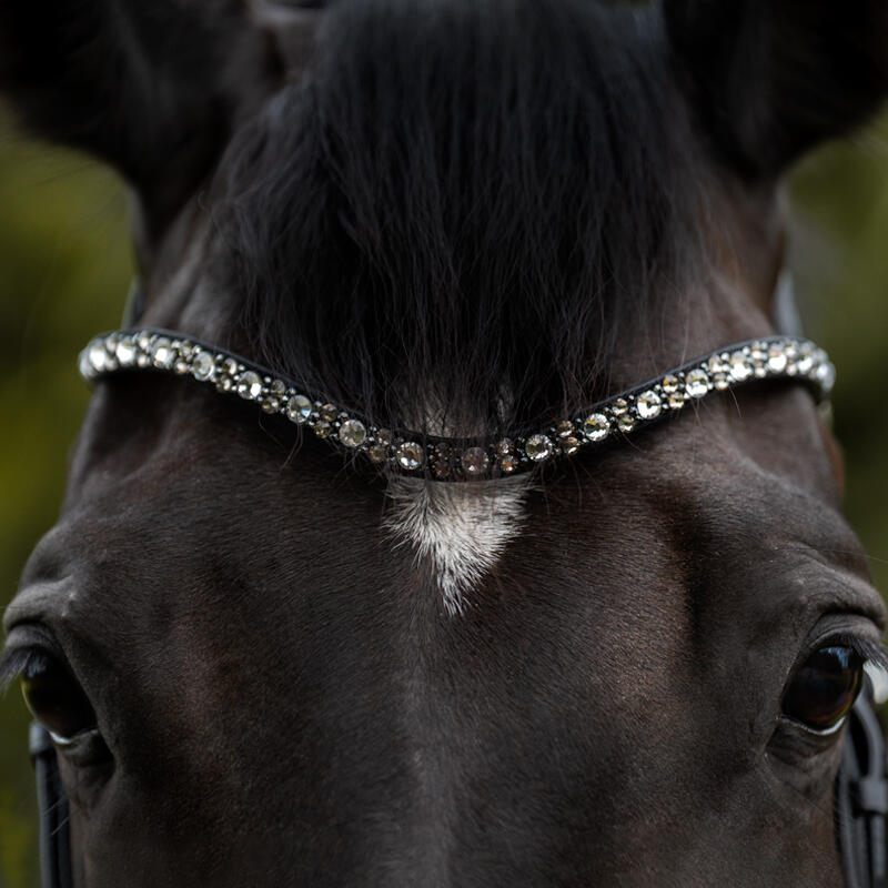 Frontaal voor paard Kavalkade Blaze 5/5