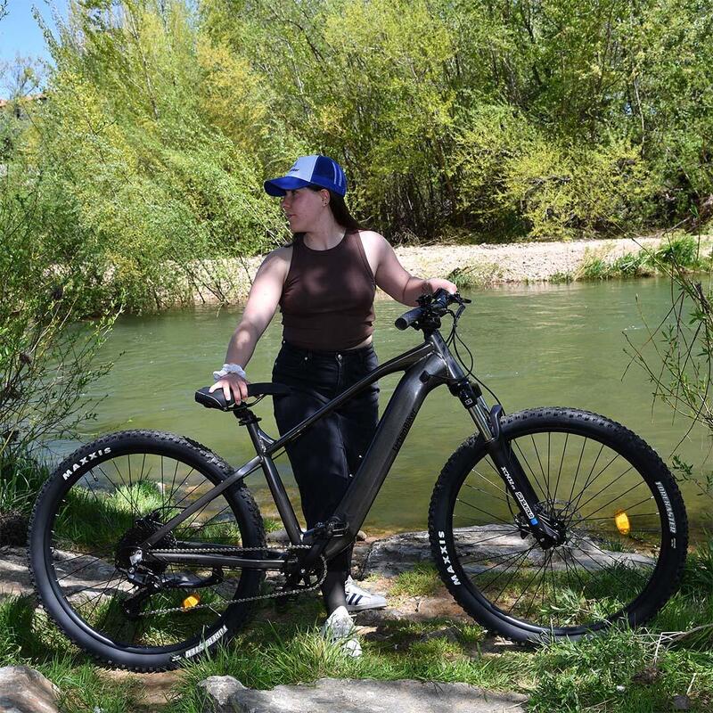 UB300B | E-Bike de munte | Până la 140 km | Gri | 29"