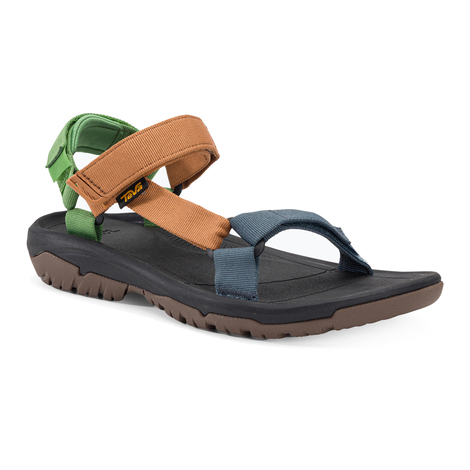 TEVA picture
