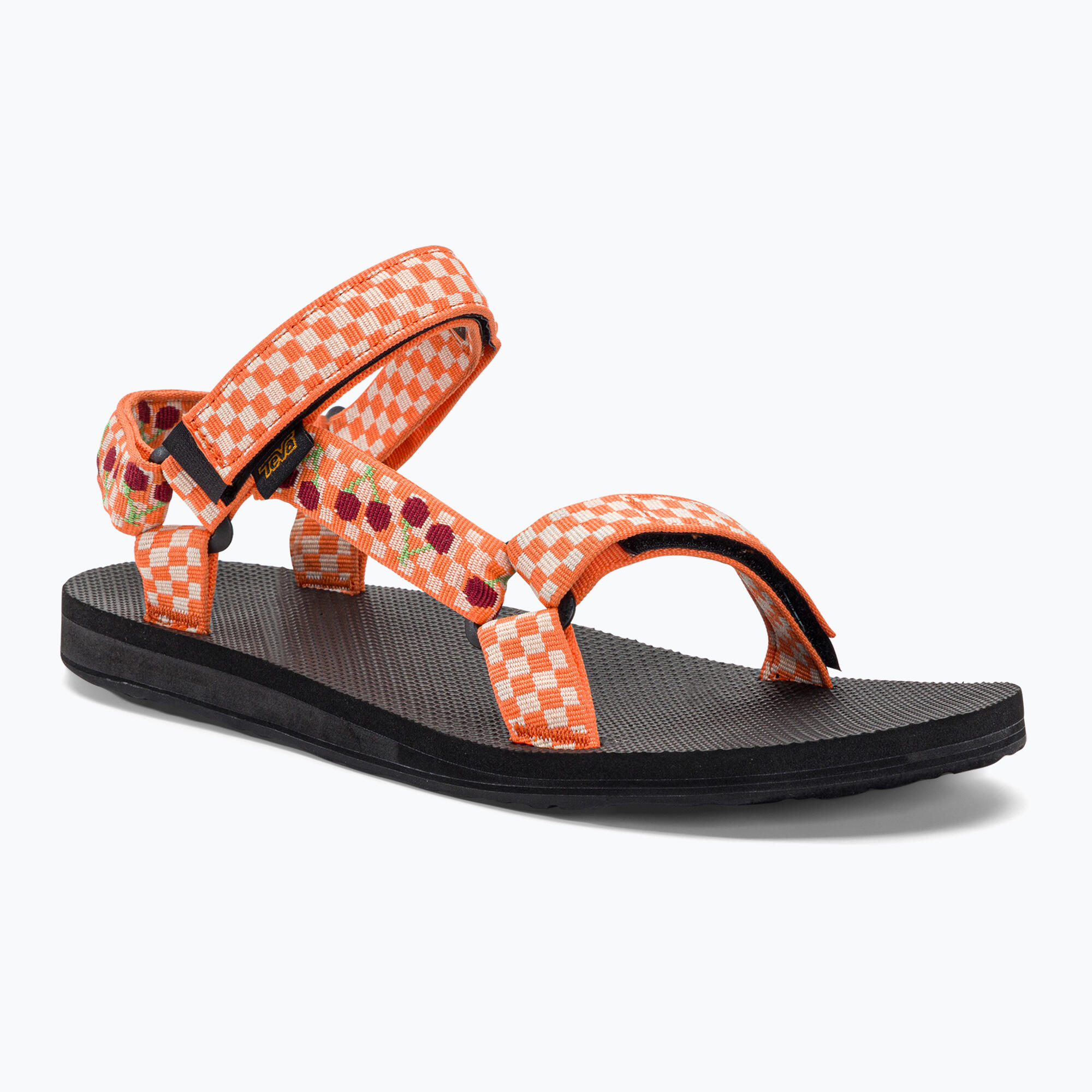 TEVA picture