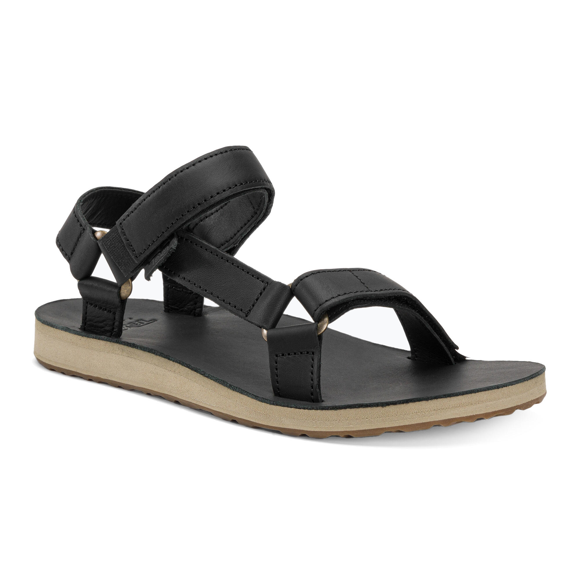TEVA picture