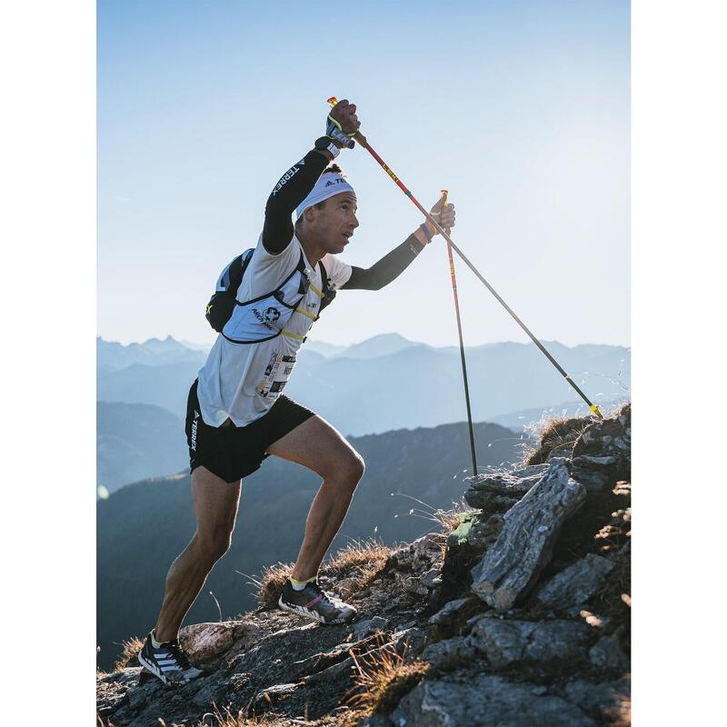 Leki Walking Sticks