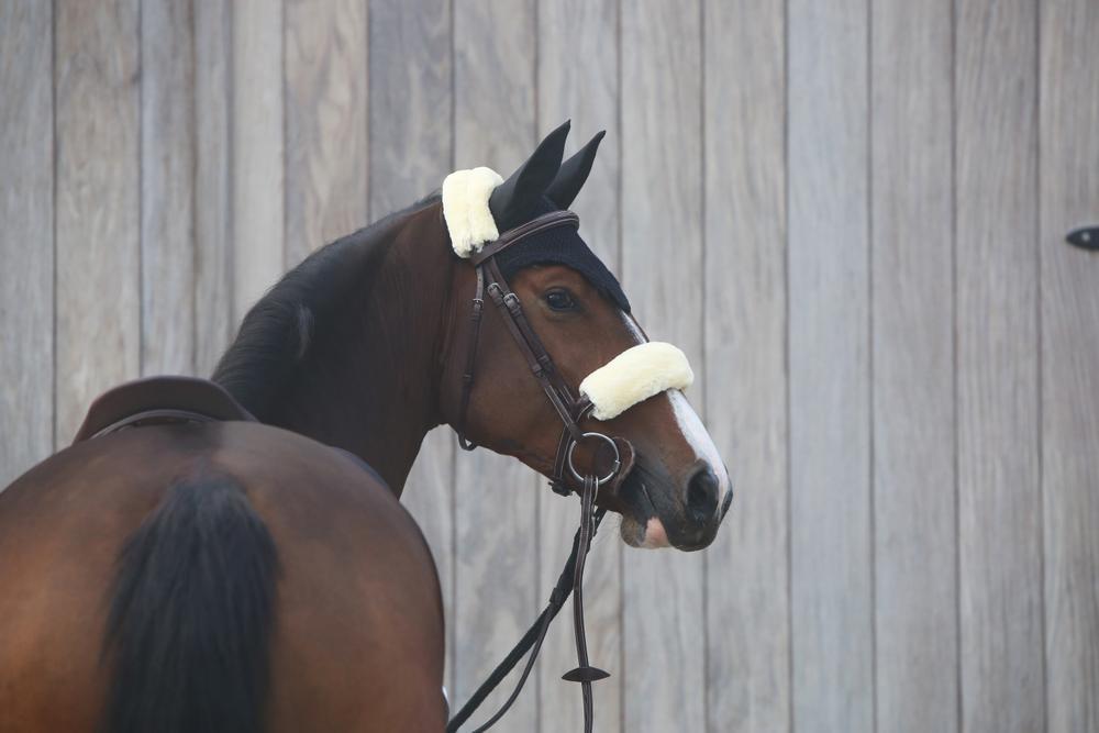 Bonnet anti-mouche noir 3/3