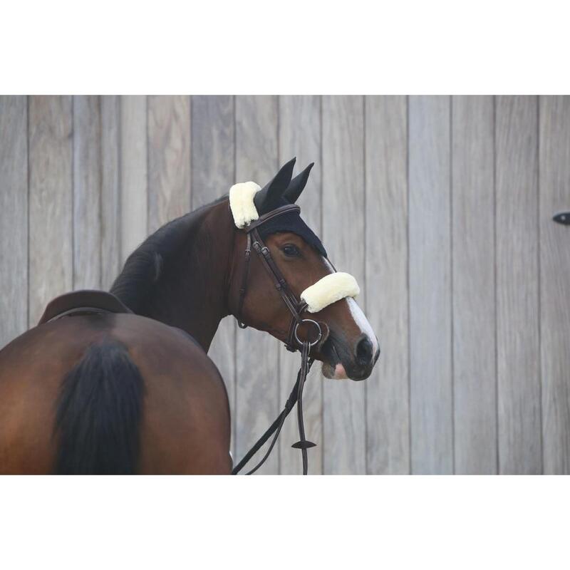 Kentucky Oornetje Black  -