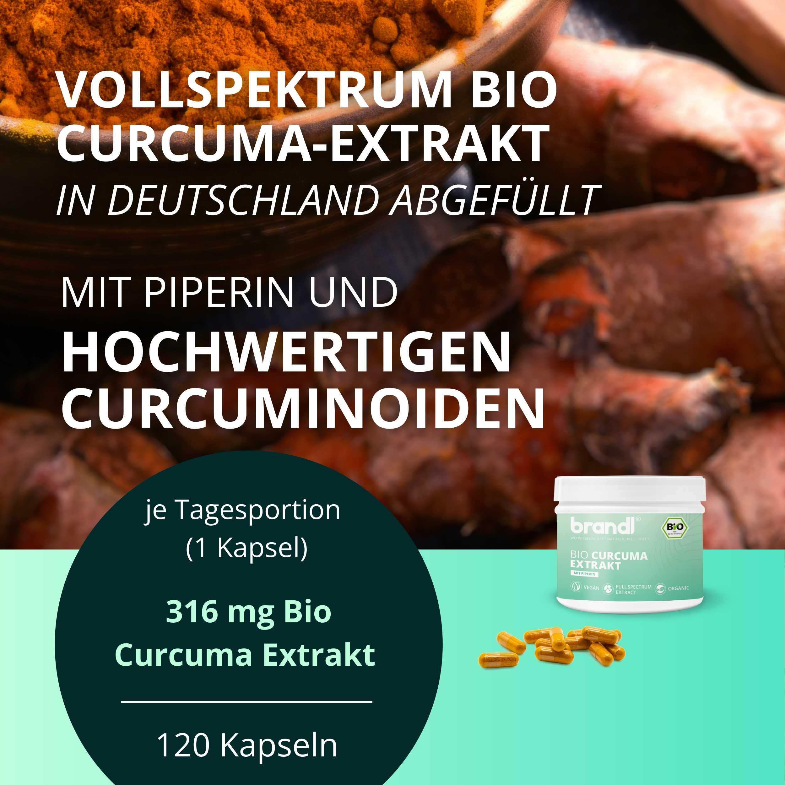 brandl® Bio Curcuma Extrakt mit Curcumin (Curcuminoide) & Bio Piperin 2/6