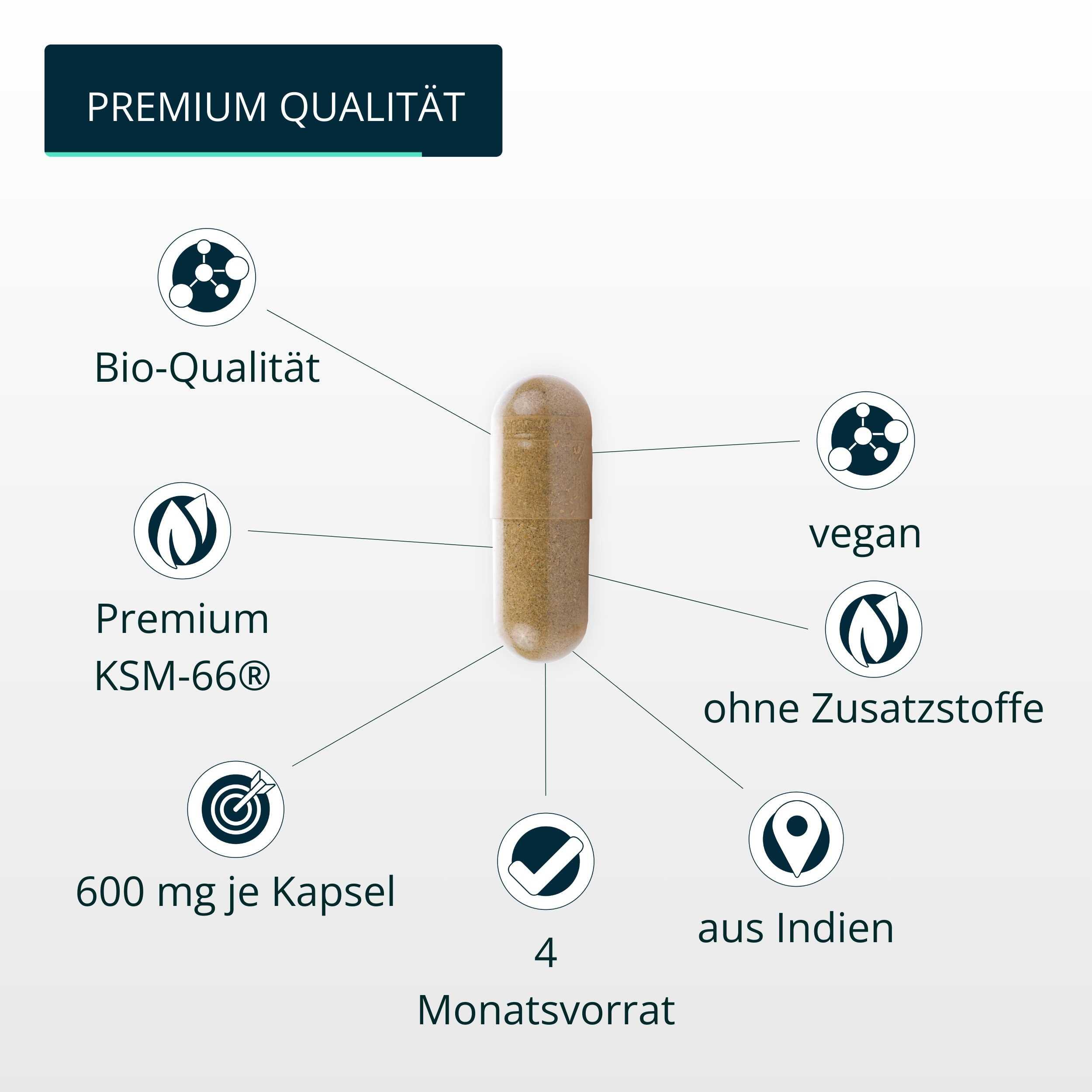BIO Ashwagandha Extrakt Kapseln KSM66 4/6