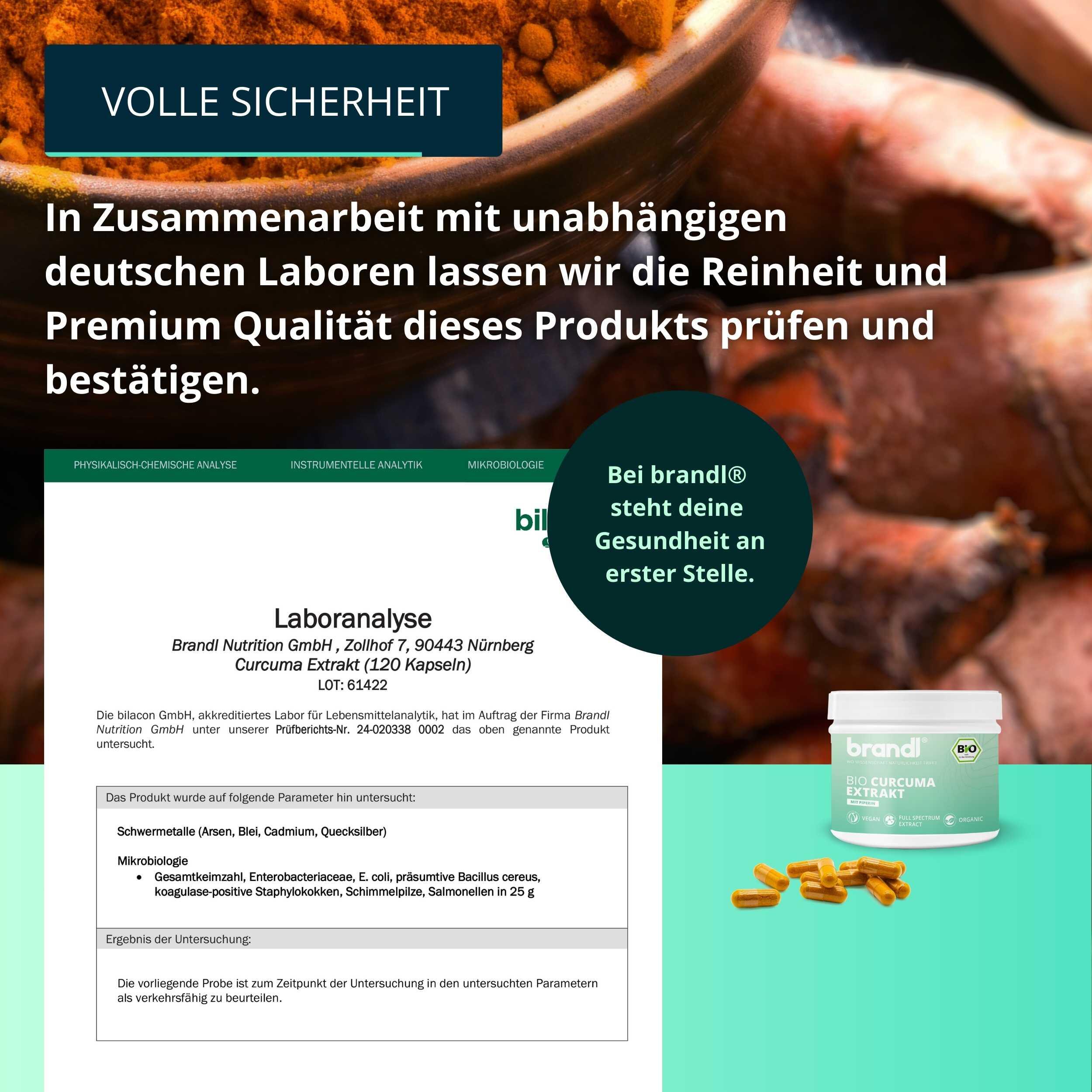 brandl® Bio Curcuma Extrakt mit Curcumin (Curcuminoide) & Bio Piperin 6/6