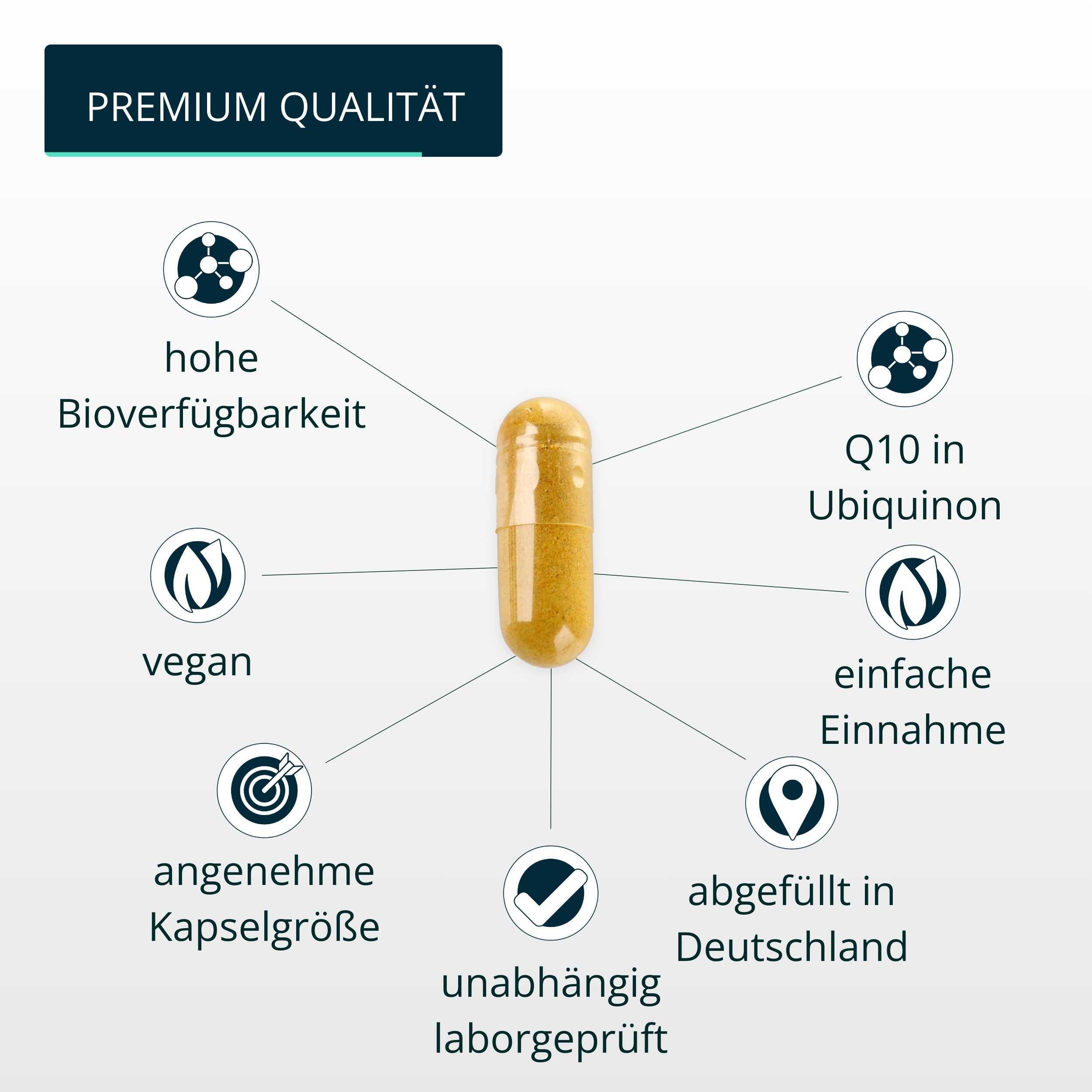 brandl® Coenzym Q10 (Ubiquinon) 4/6