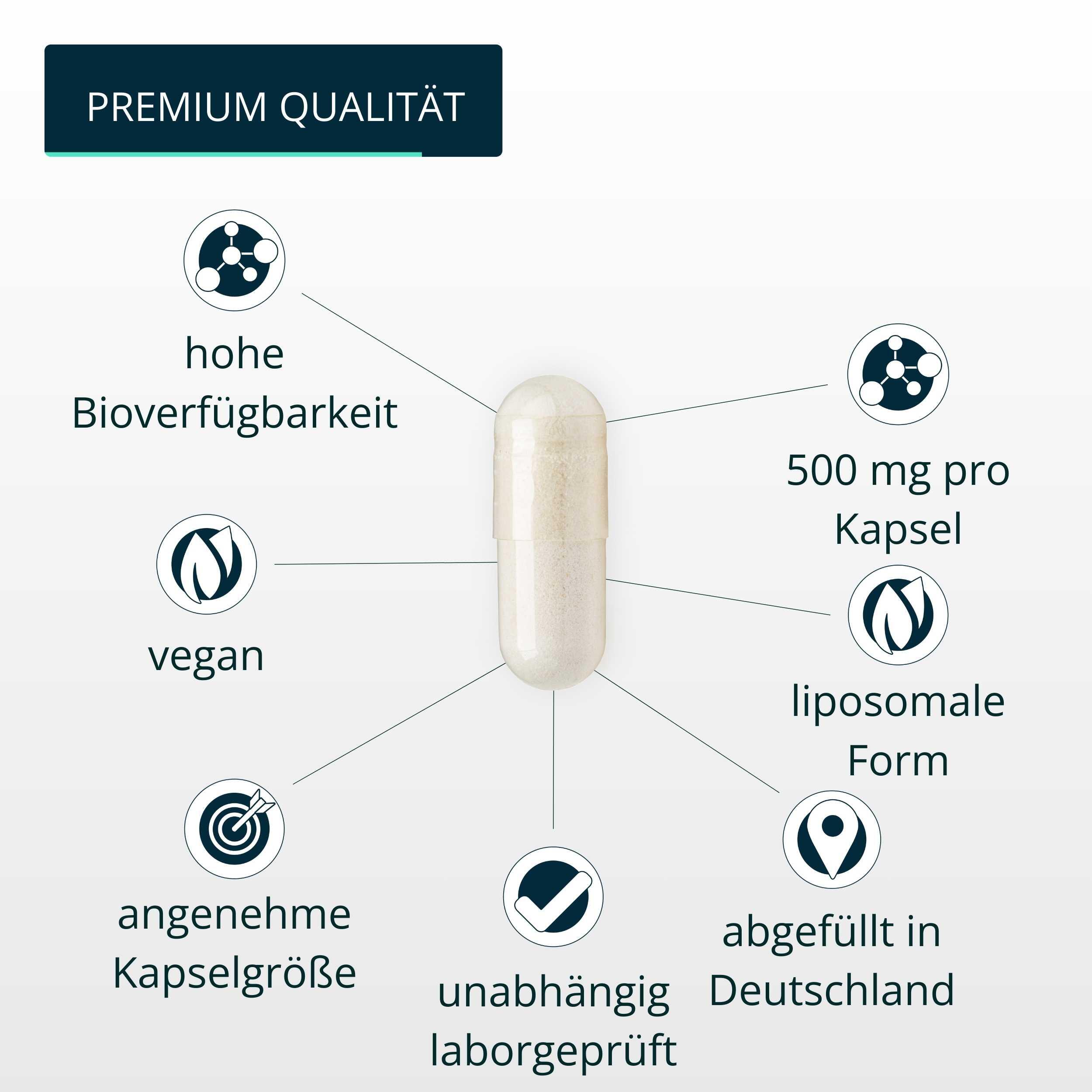 brandl® Liposomales Vitamin C hochdosiert vegan | Vit C (Ascorbinsäure) 4/6