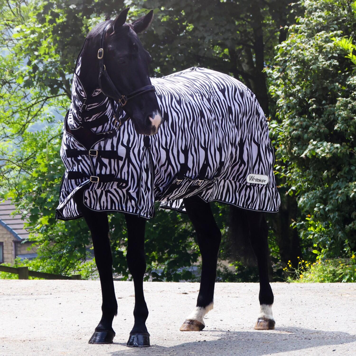 Whitaker Fly Mesh Horse Rug in Zebra Print 5/5