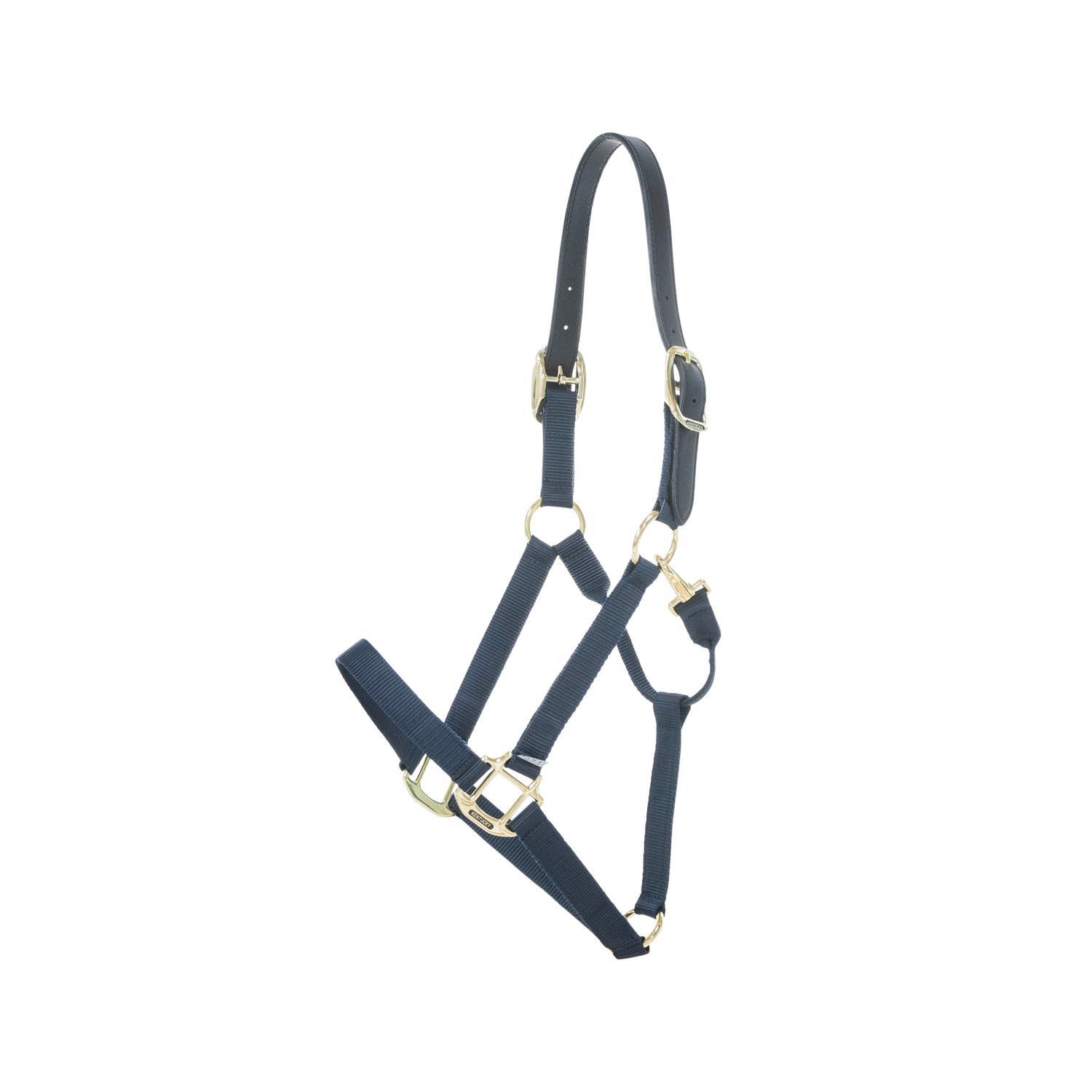 KENTUCKY HORSEWEAR Nylon halster Wellington marine Pony