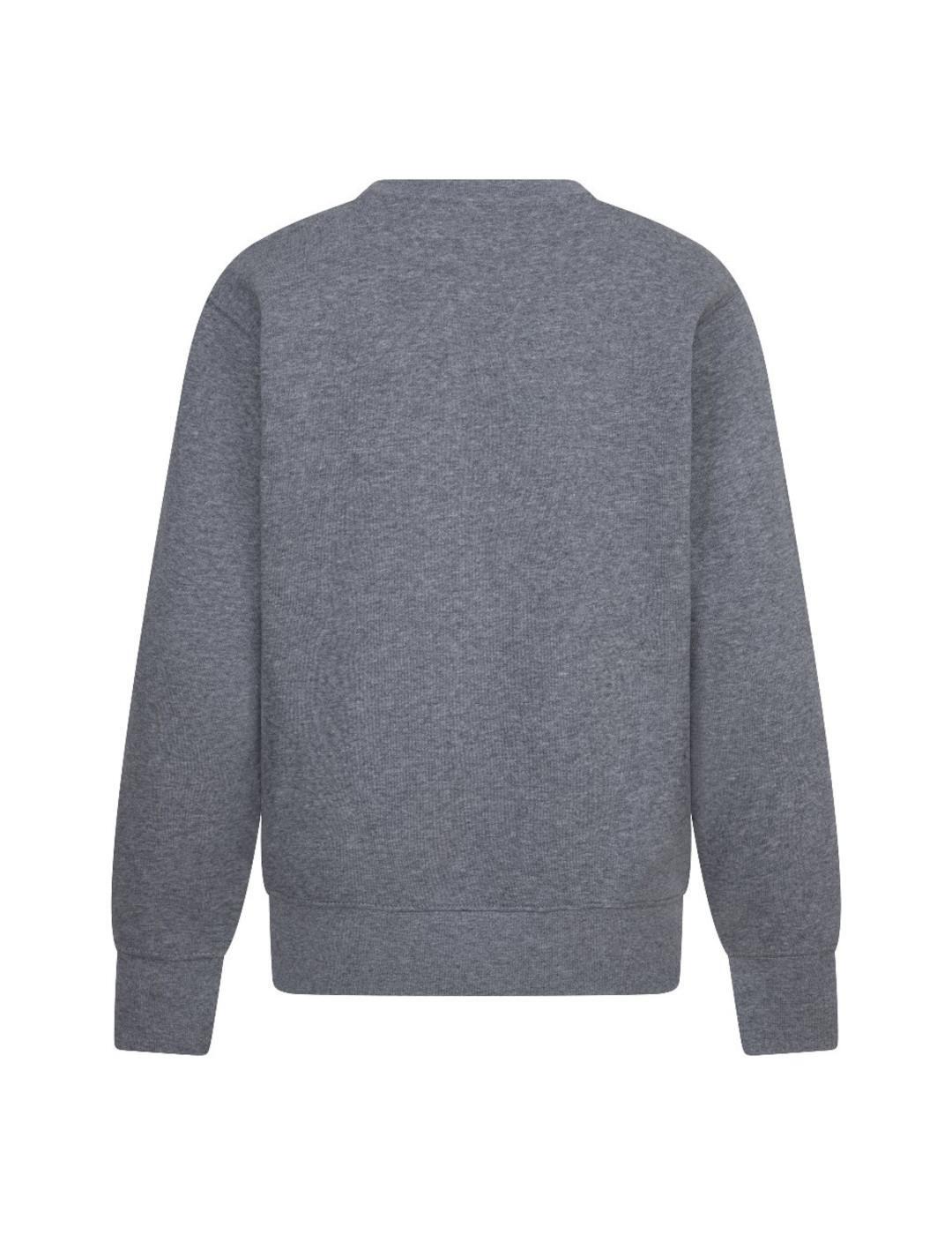 Maillot et sweat pour enfant Jordan Kids Carbon Heather Gris 2/4