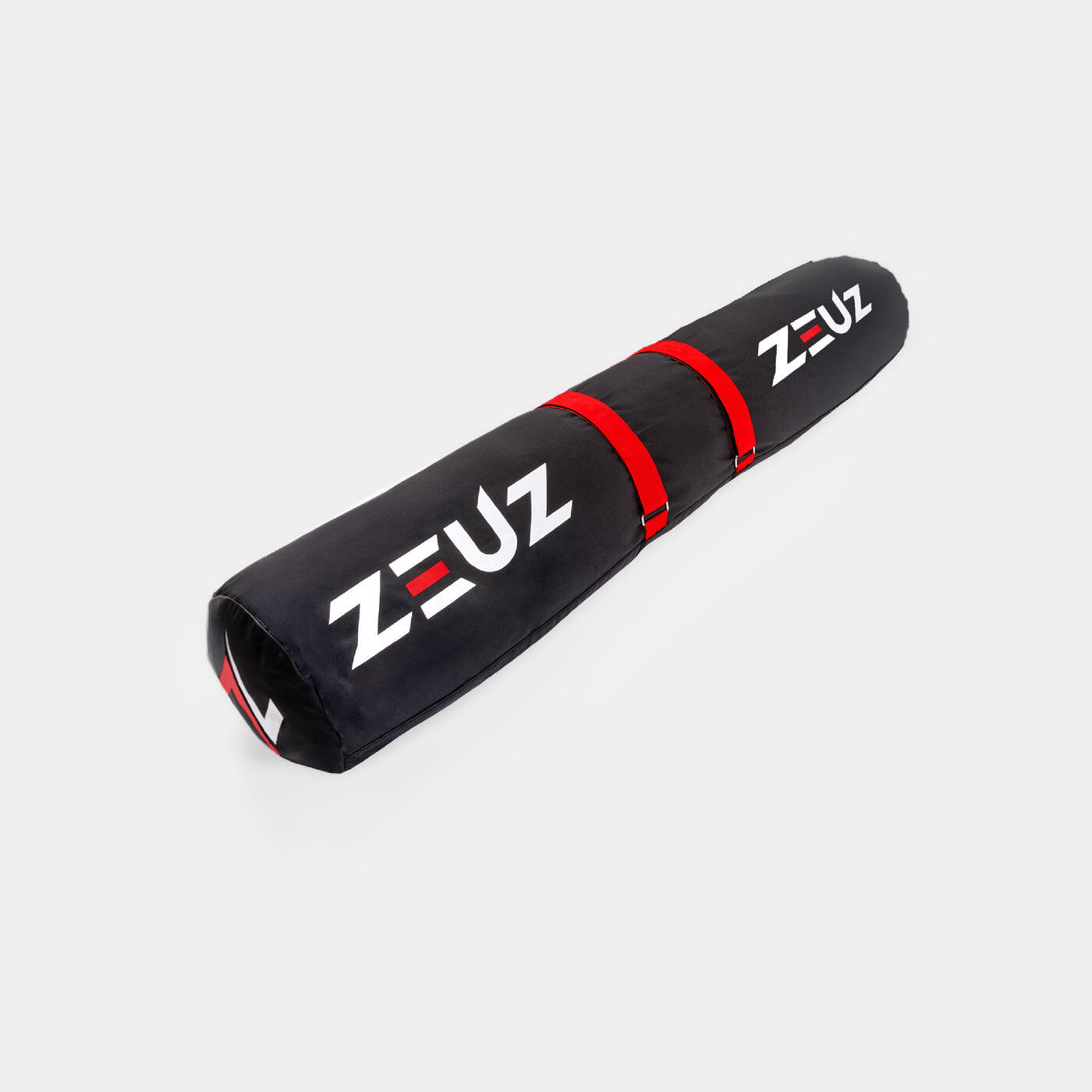 ZEUZ picture