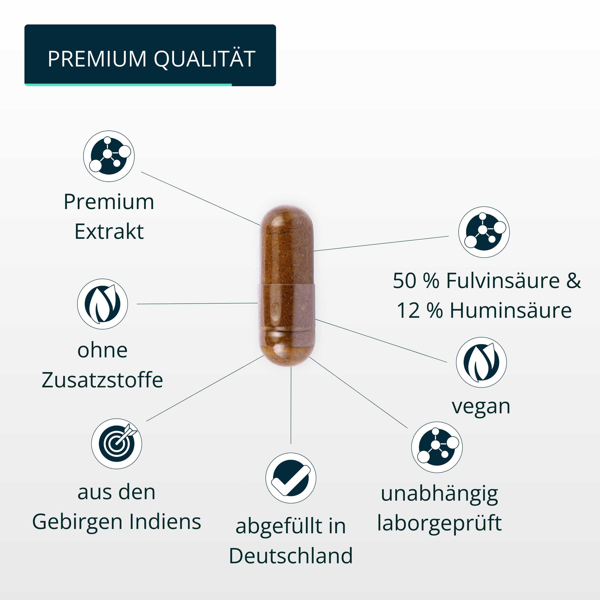 brandl® Shilajit Kapseln | Extrakt mit Fulvinsäure und Huminsäure 4/6