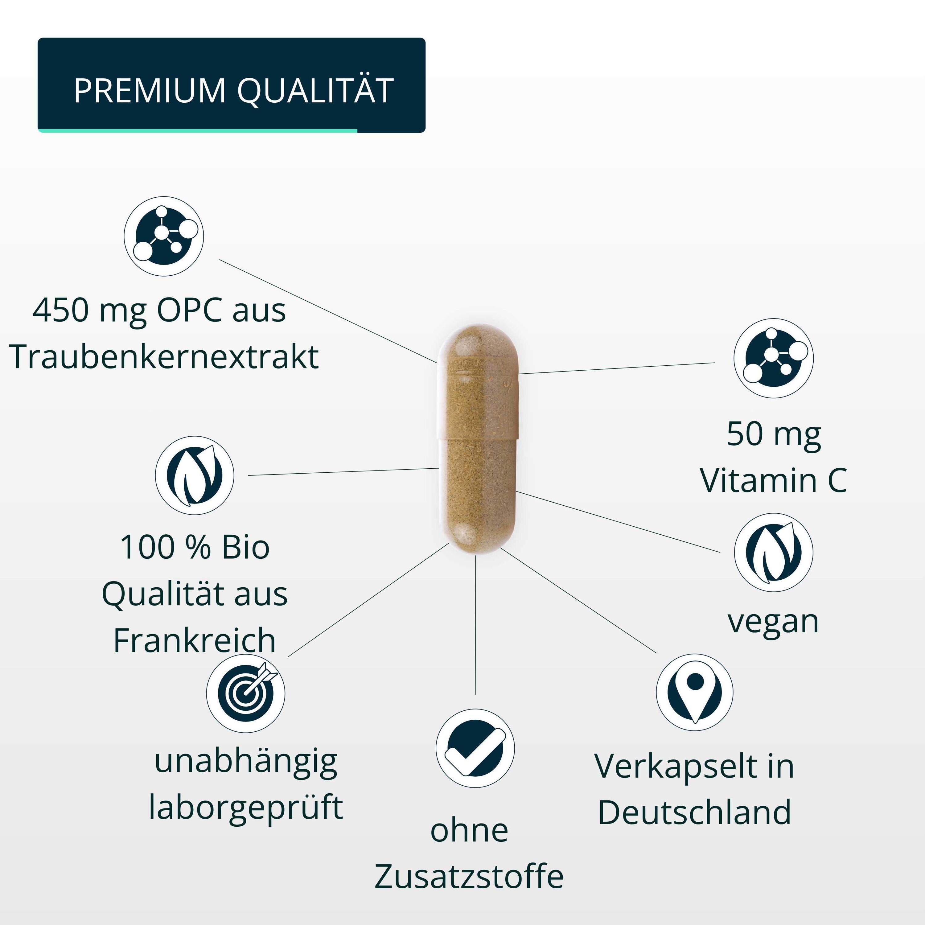 brandl® BIO OPC Traubenkernextrakt mit Vitamin C aus Acerola 4/6