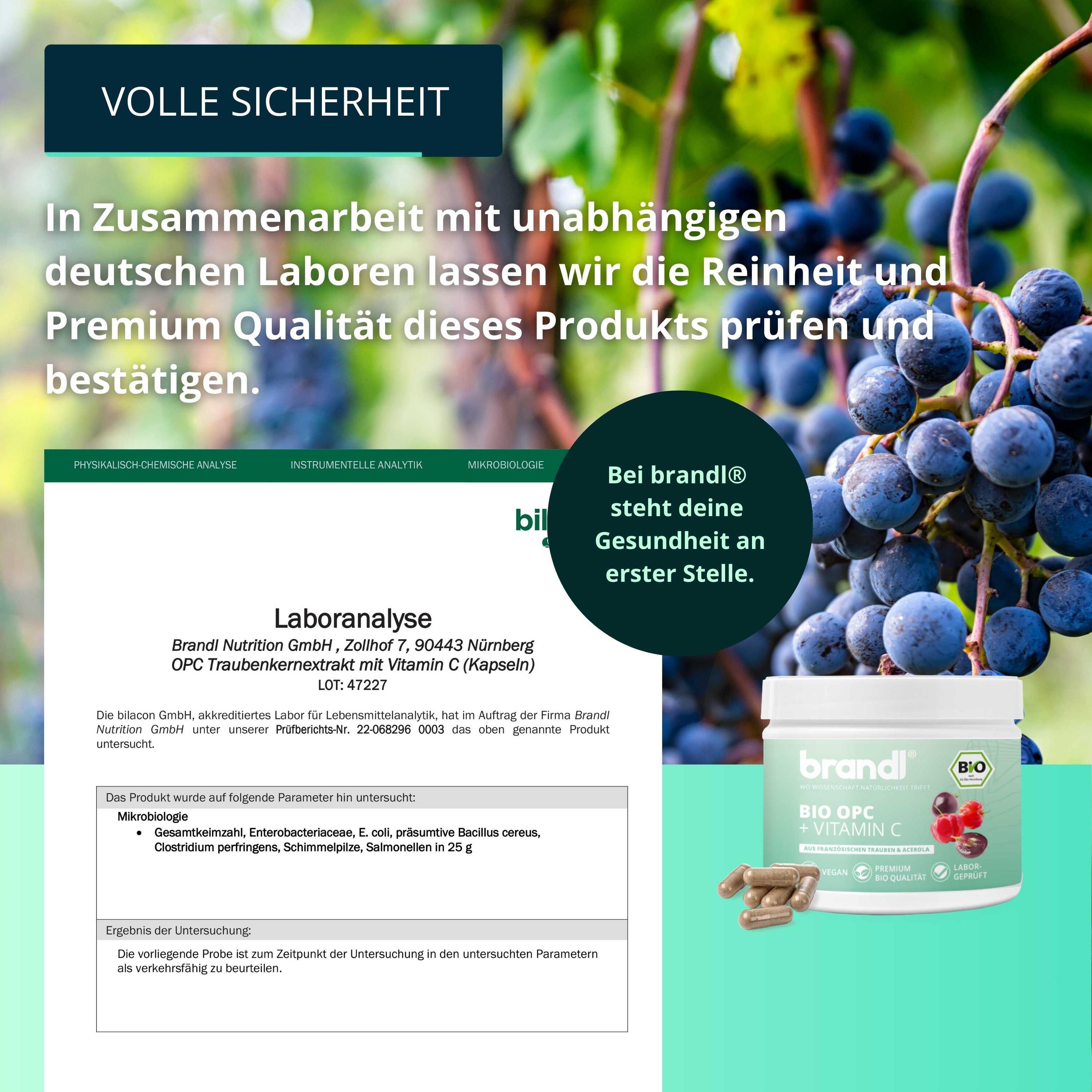 brandl® BIO OPC Traubenkernextrakt mit Vitamin C aus Acerola 6/6