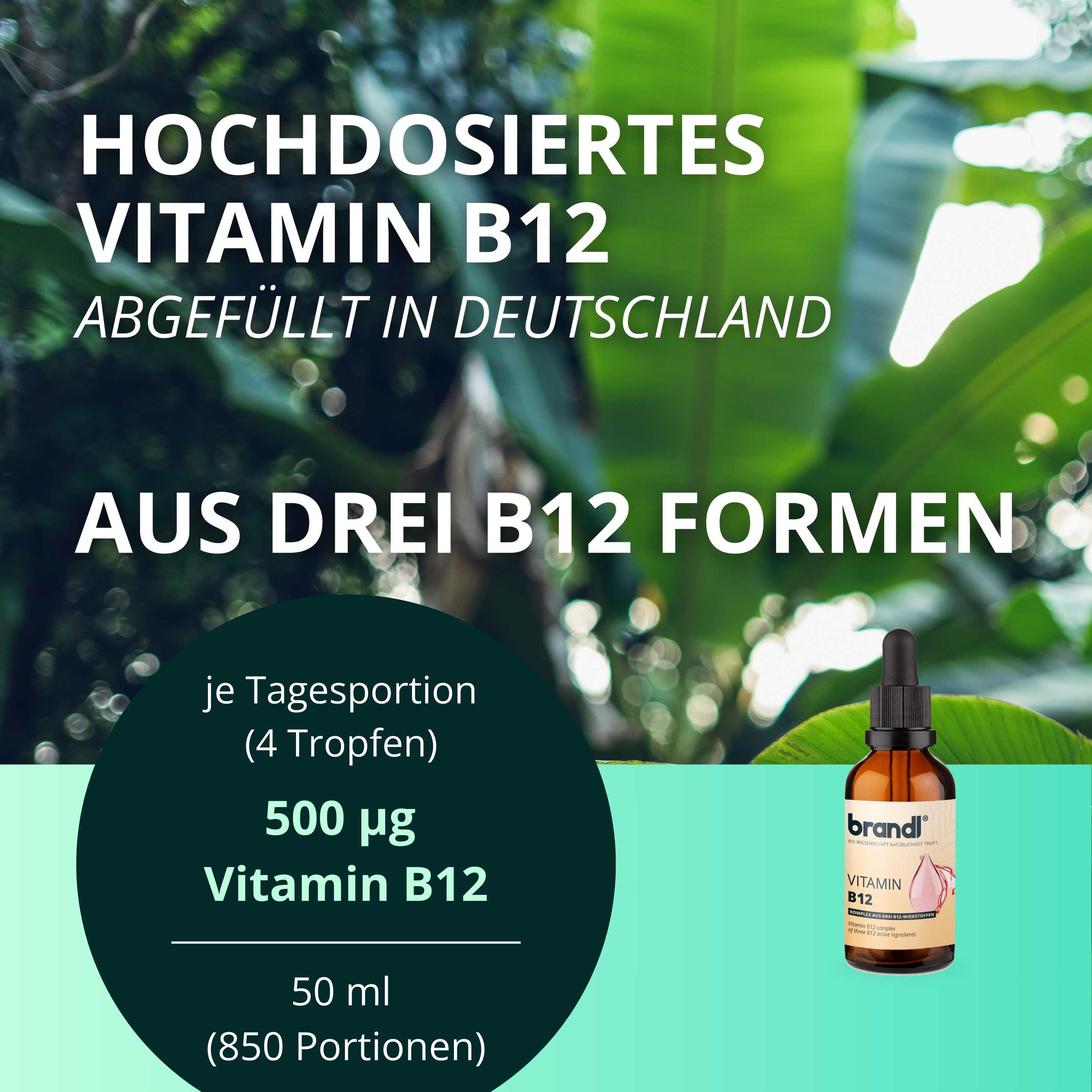 brandl® B12 Vitamin Tropfen aus 3 Aktivformen 2/6