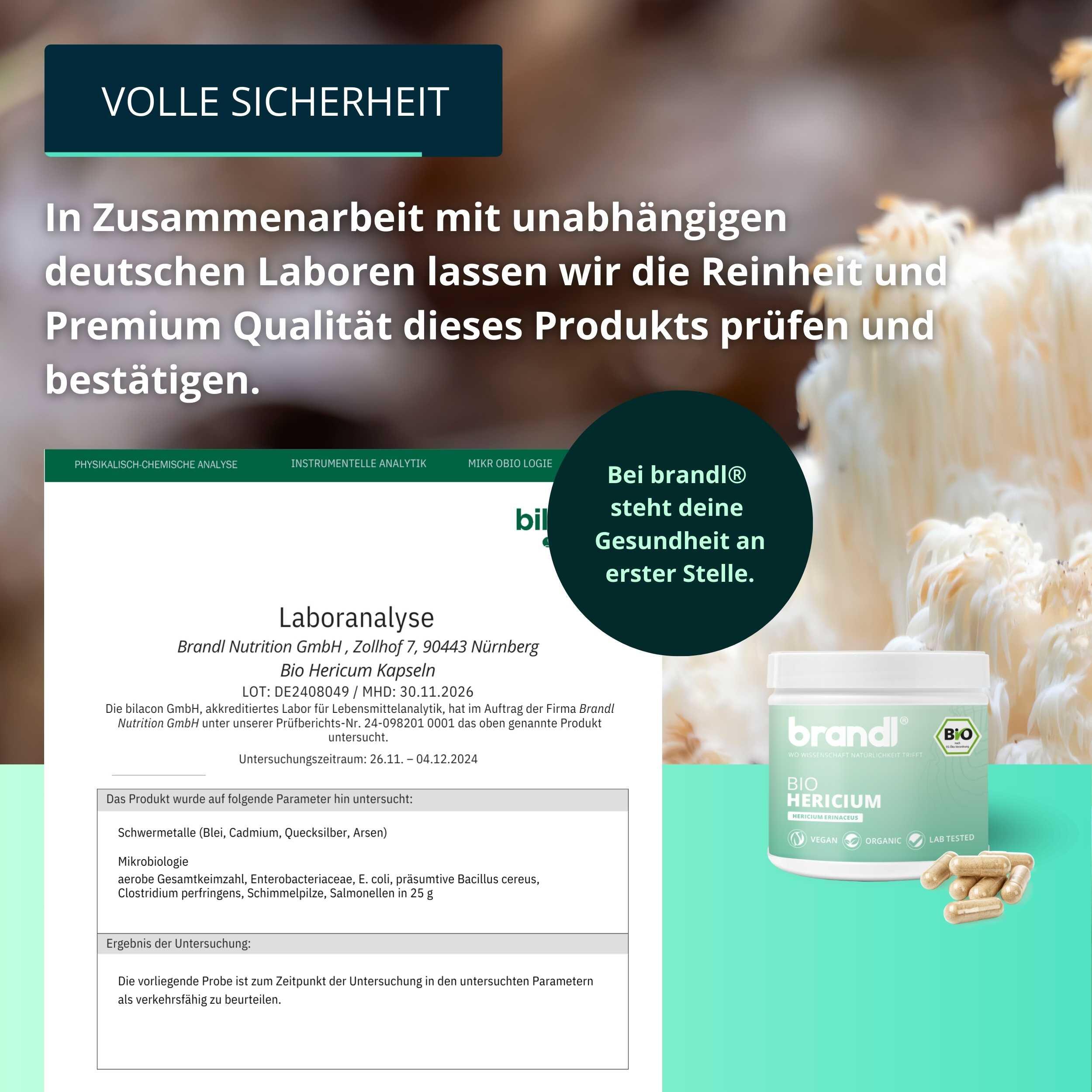 brandl® Bio Lions Mane (Hericium Erinaceus) Vitalpilz 6/6