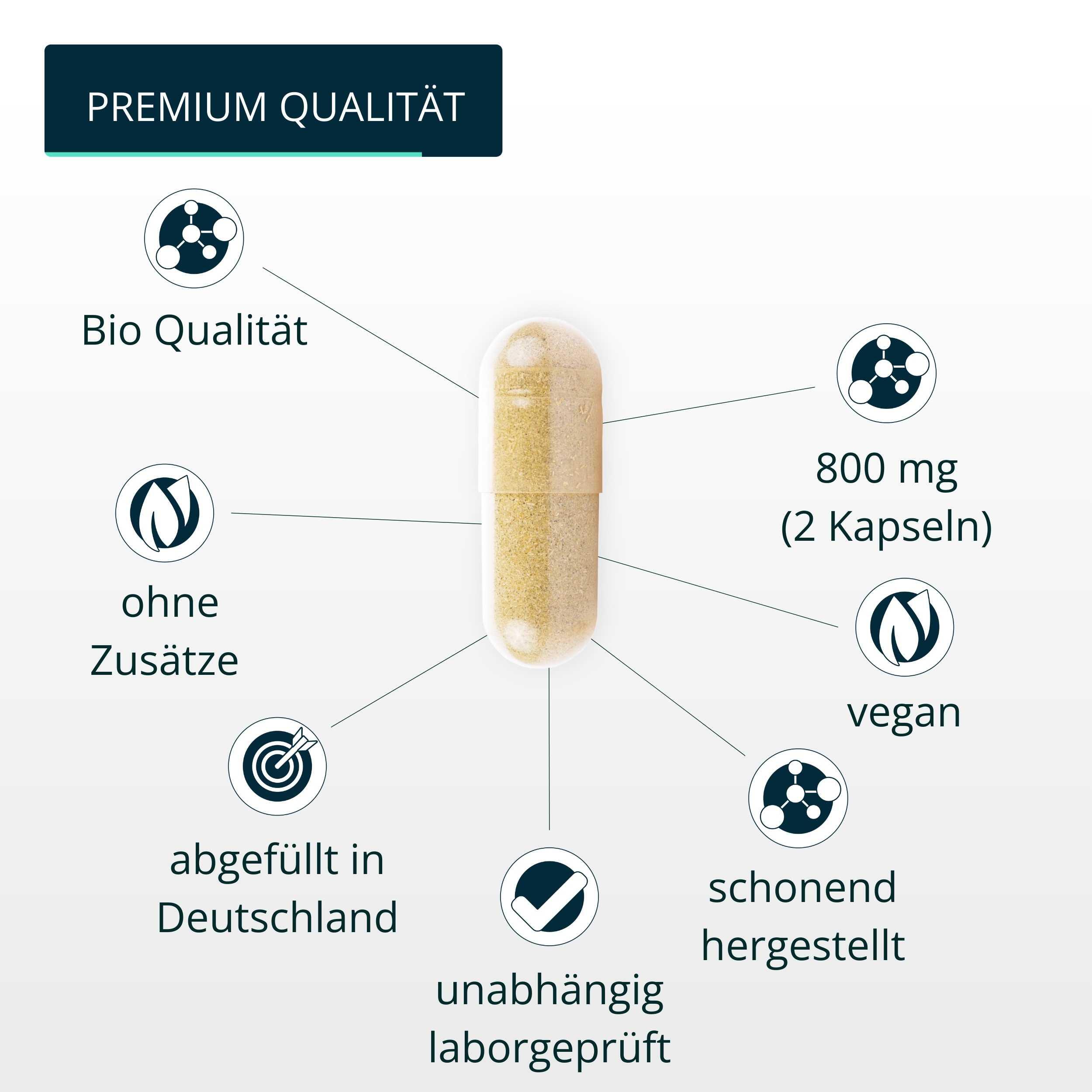 brandl® Bio Lions Mane (Hericium Erinaceus) Vitalpilz 4/6