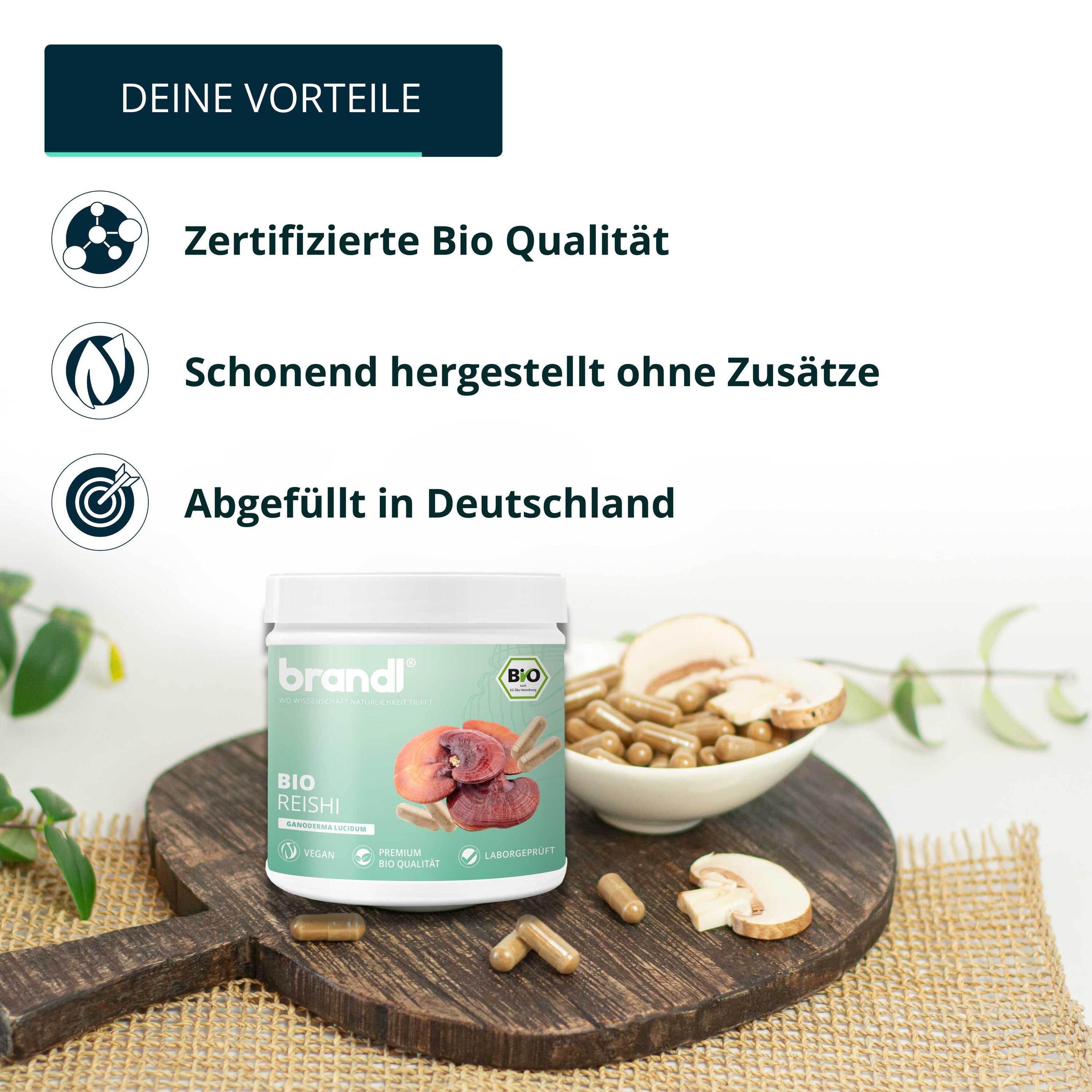 brandl® Bio Reishi Vitalpilz 3/6