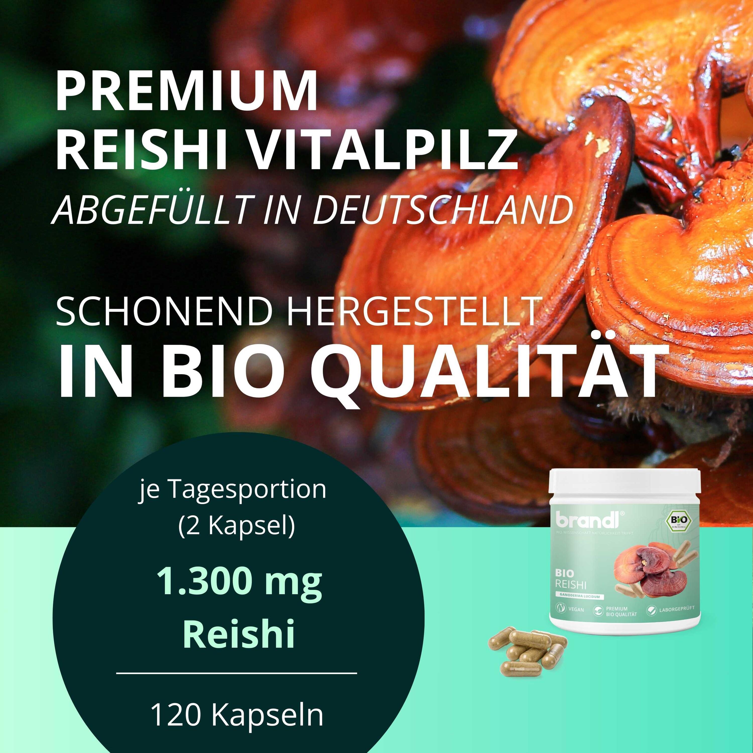 brandl® Bio Reishi Vitalpilz 2/6