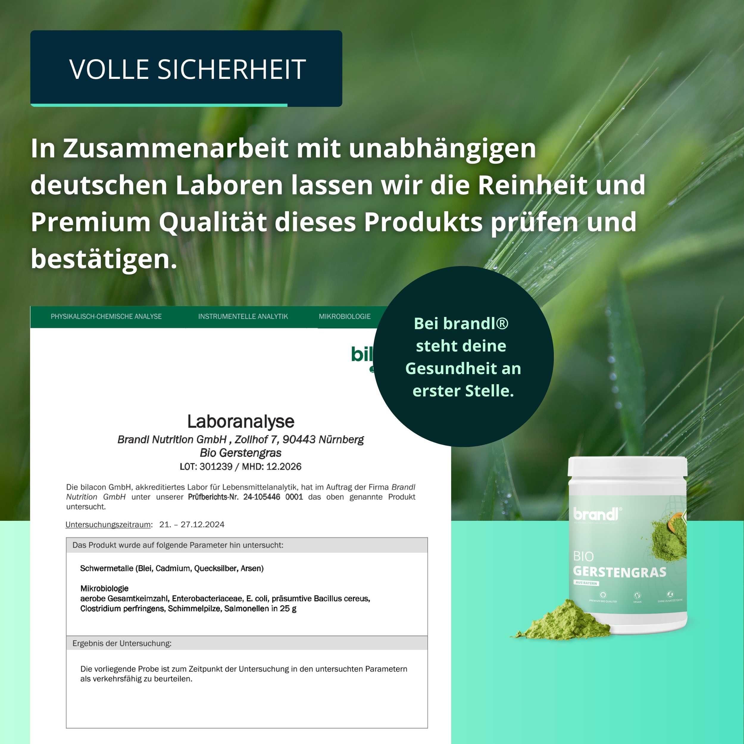 brandl® Gerstengras Bio 6/6
