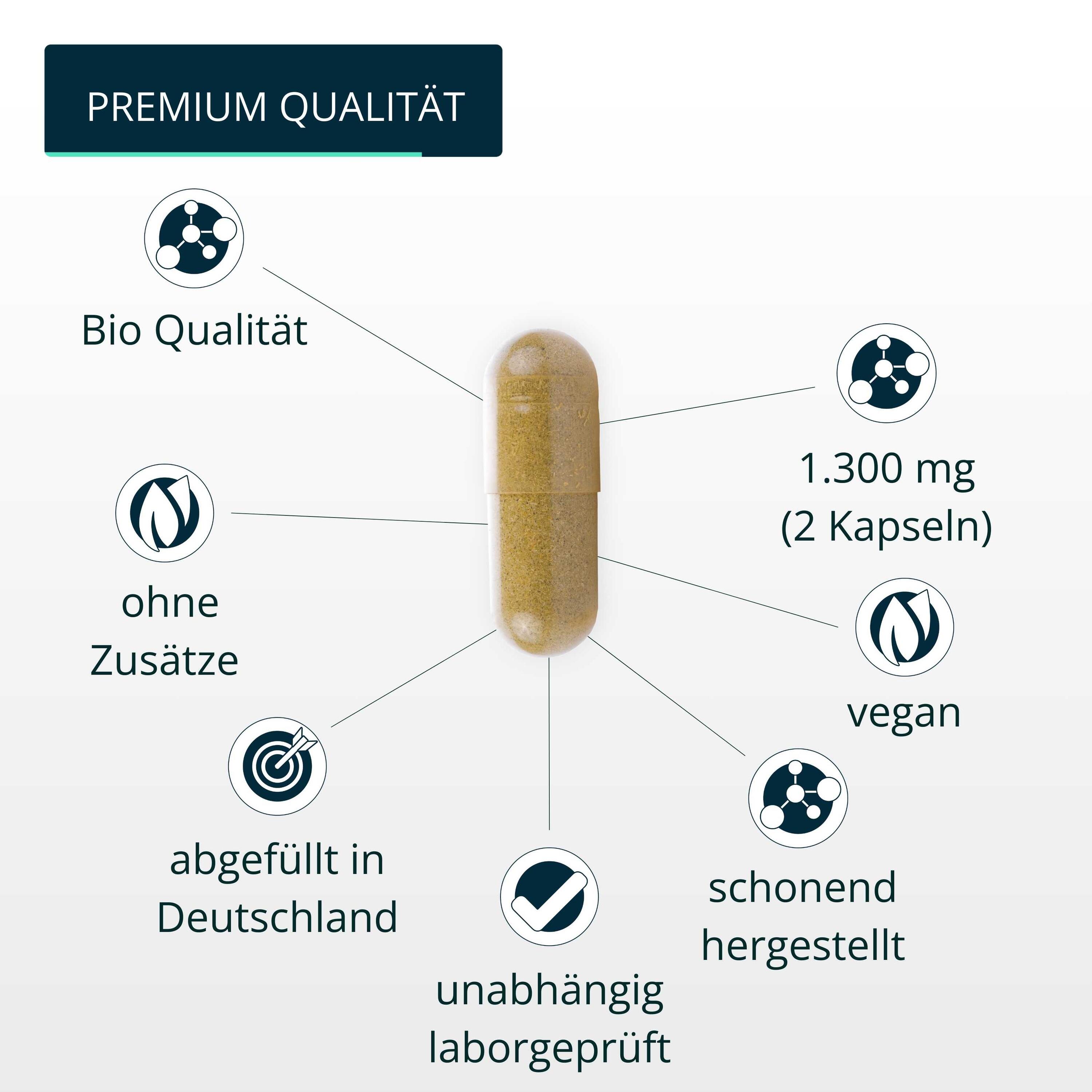 brandl® Bio Reishi Vitalpilz 4/6
