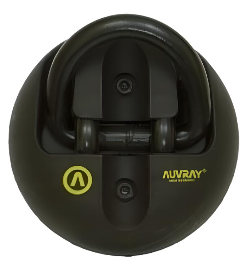 Auvray Fixed Point Anti-Theft 65x42mm
