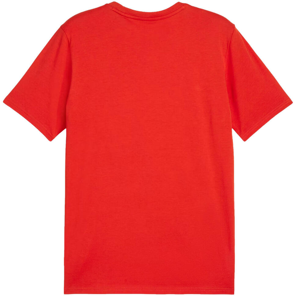 Koszulka męska Puma Team Goal Casuals Tee