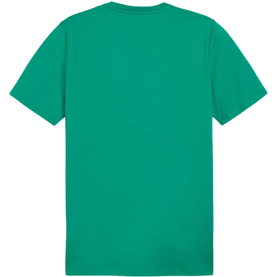 Koszulka męska Puma Team Goal Casuals Tee