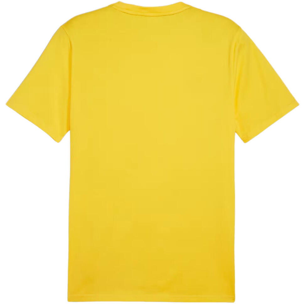 Koszulka męska Puma Team Goal Casuals Tee