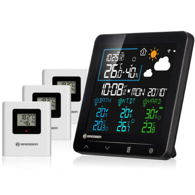 BRESSER Quadro Individio Stazione Meteo NV