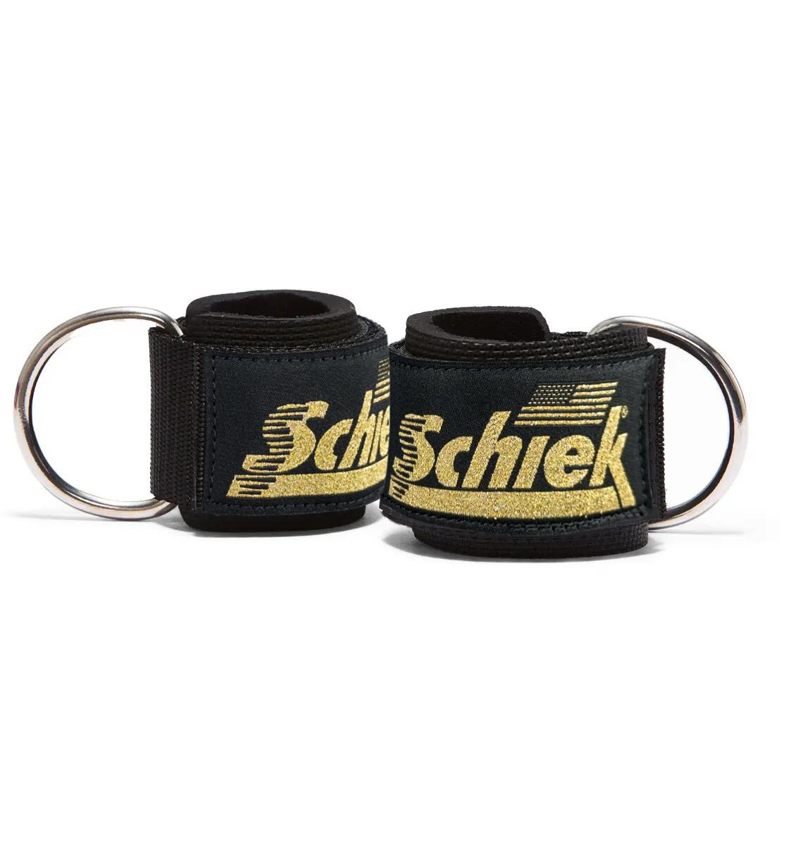 SCHIEK SPORT'S INC. USA picture