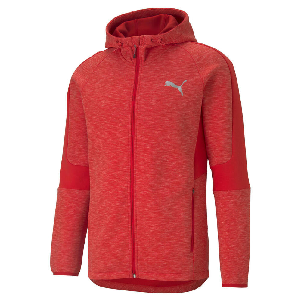 PUMA picture