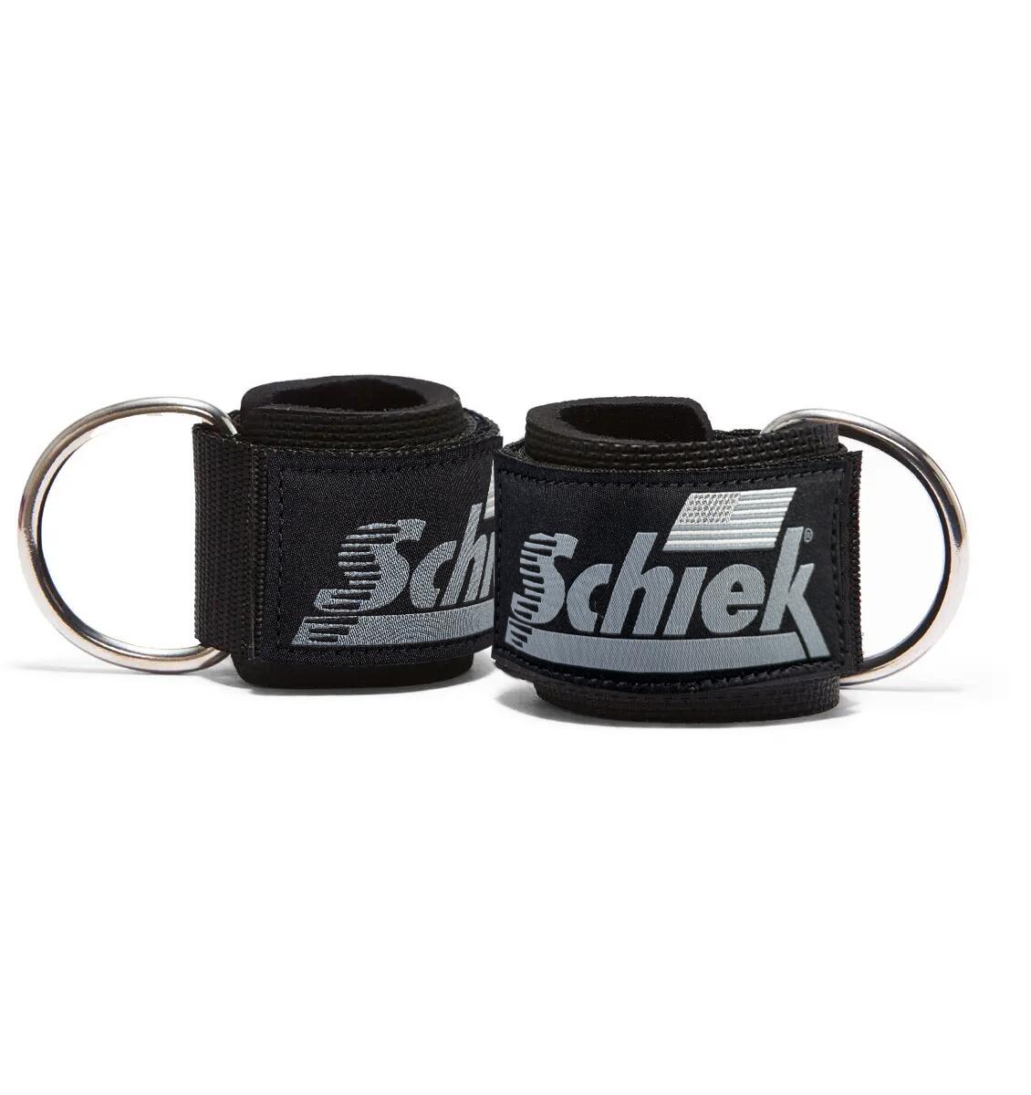 SCHIEK SPORT'S INC. USA picture