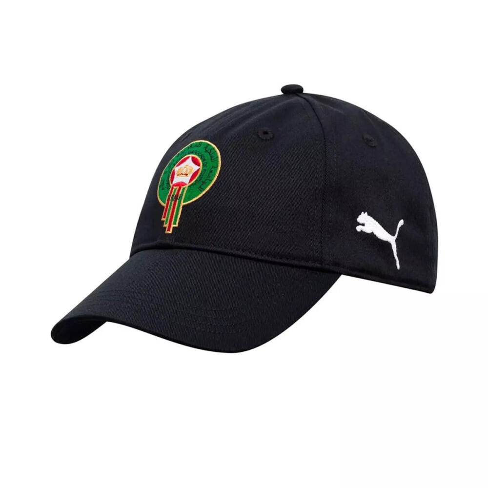 PUMA picture