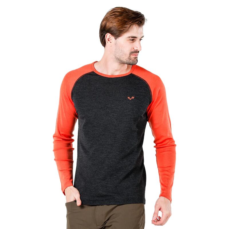Męska Koszulka raglanowa Brant 100% Merino