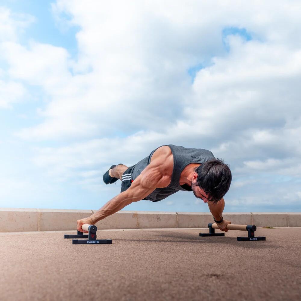 Parallettes Basses Pro street workout exercices et renforcement 6/7