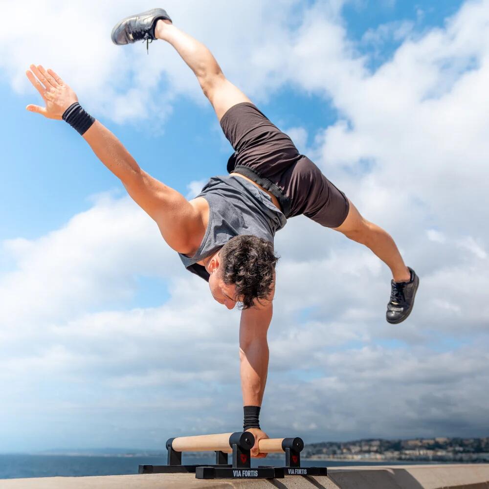 Parallettes Basses Pro street workout exercices et renforcement 5/7