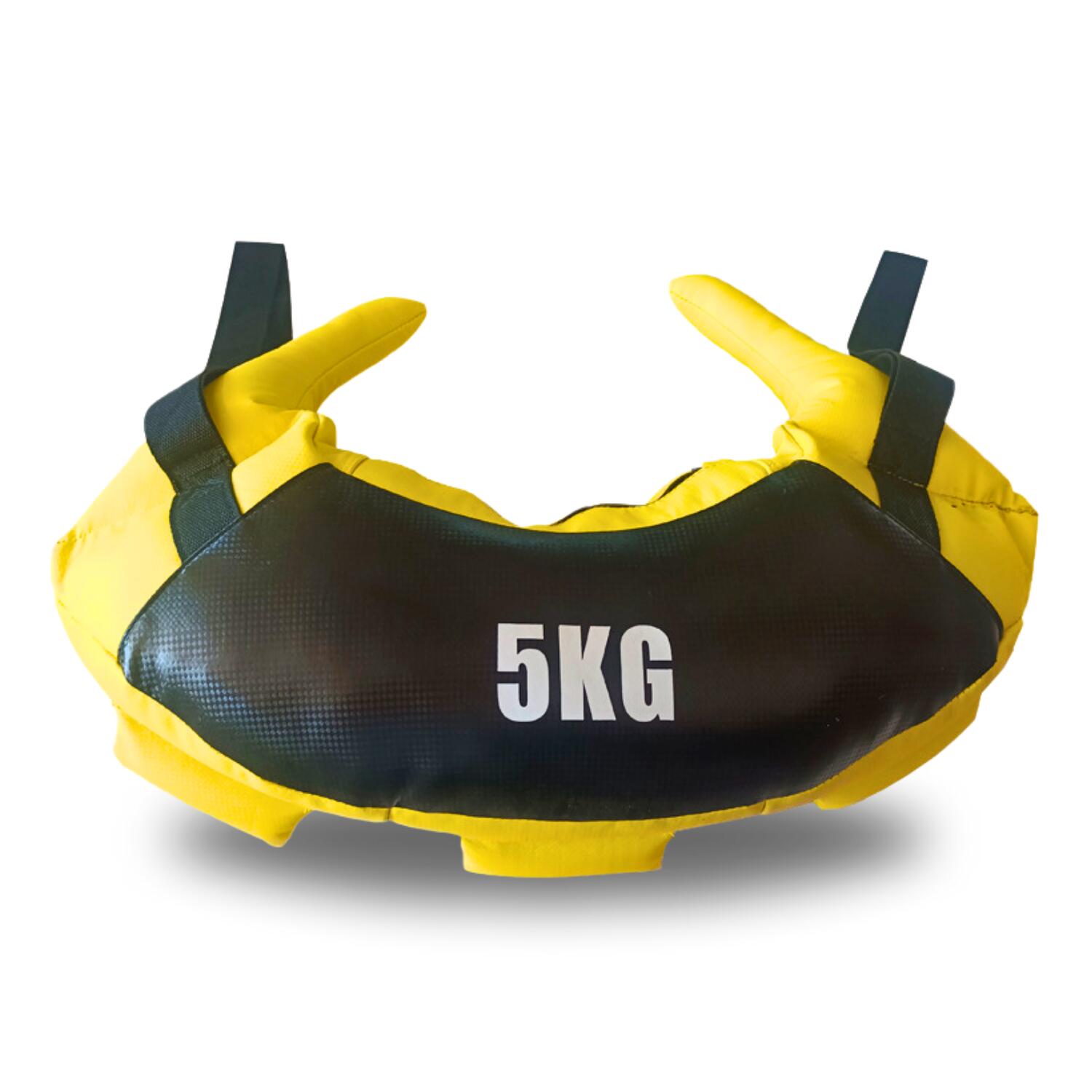 Weighted Sand Bulgarian Bag 5 kg - Homefittools