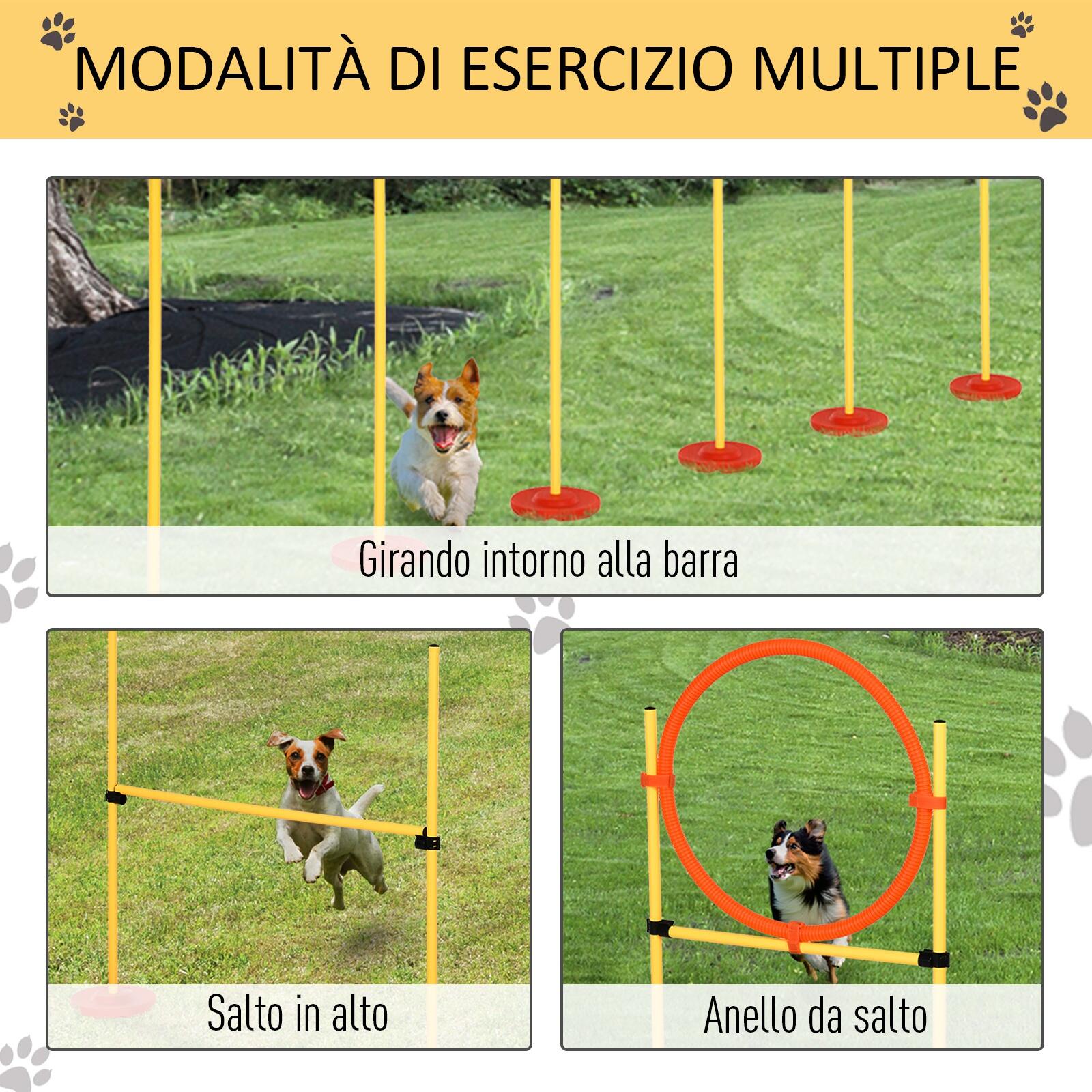 PawHut Set Agility Dog, Anello regolabile, Giallo e Rosso 5/5