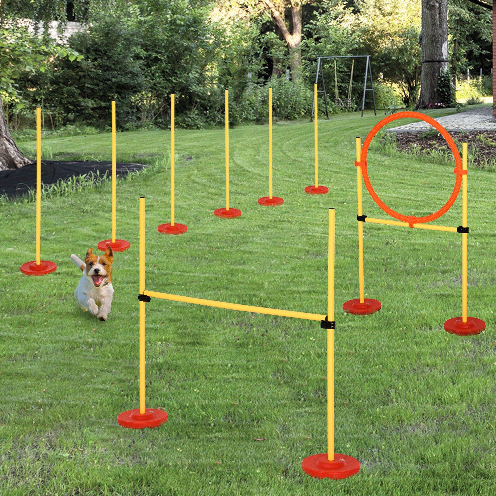 PawHut Set Agility Dog, Anello regolabile, Giallo e Rosso 2/5